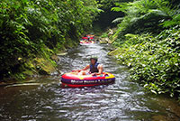 bali wild water rafting