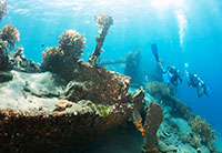 bali diving & snorkeling