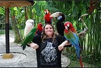 bali taman bird park