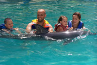 bali dolphin swimming