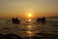 bali dolphin watching tour