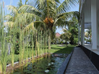 bali-strand-villa-cymopoleia-teich