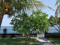 bali-strand-villa-cymopoleia-meerblick