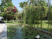 bali-strand-villa-cymopoleia-garten